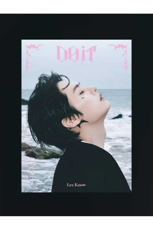 Stray Kids - SKZ IT TAPE [DO IT] ACCORDION Ver. Albüm