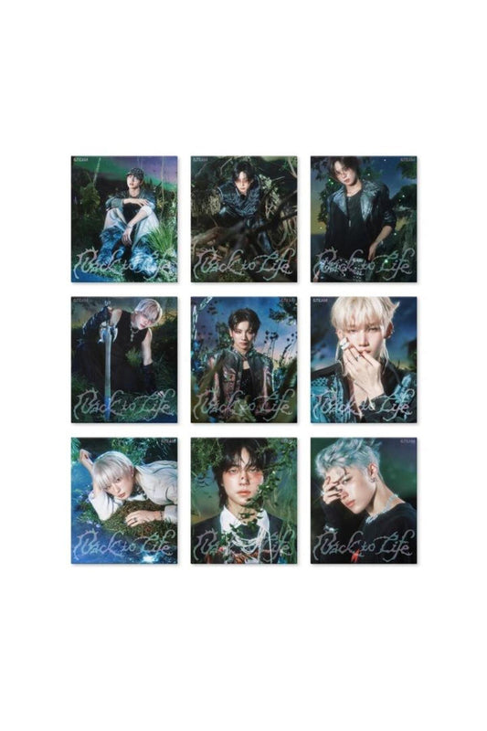 &TEAM - KR 1st Mini Album [Back to Life] ROAR Ver. (RANDOM)
